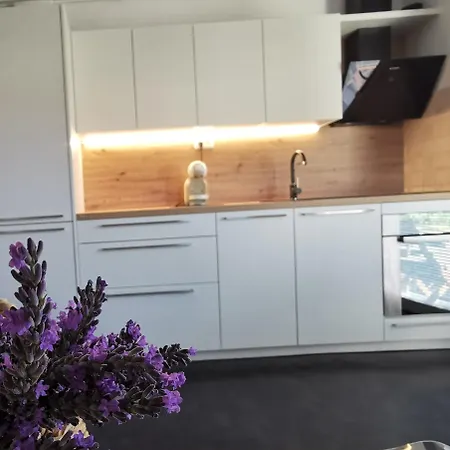 Apartmaji Ela 1 伊佐拉